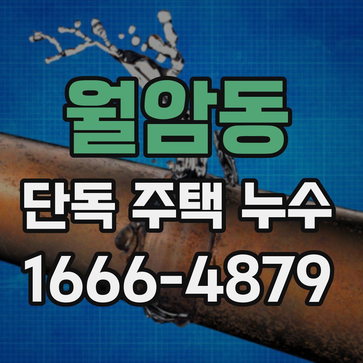 월암동 단독 주택 누수