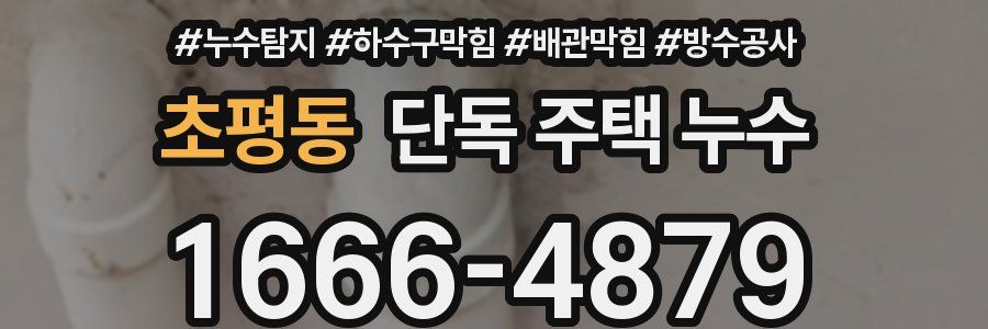 초평동 단독 주택 누수