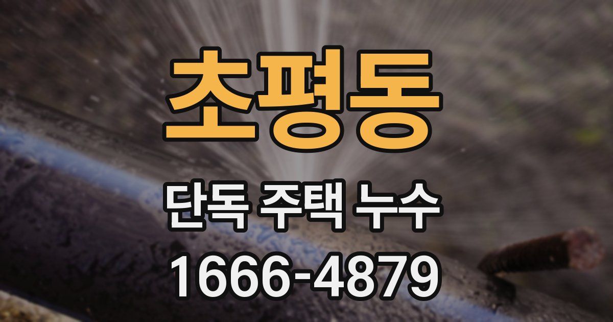 초평동 단독 주택 누수