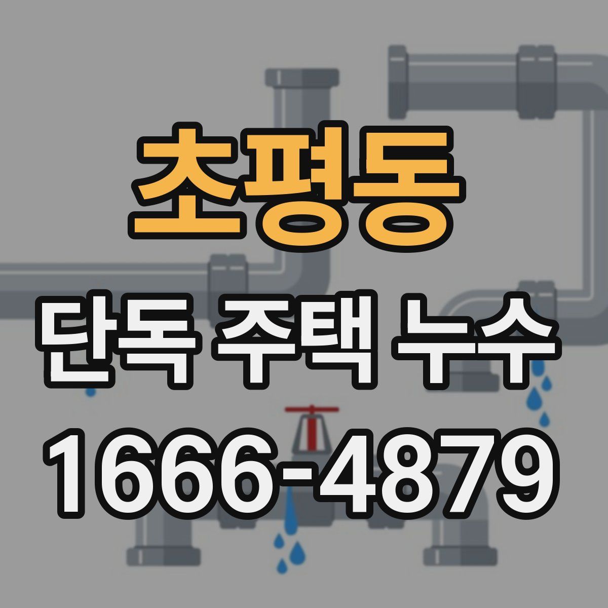 초평동 단독 주택 누수