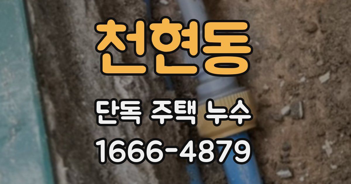 천현동 단독 주택 누수