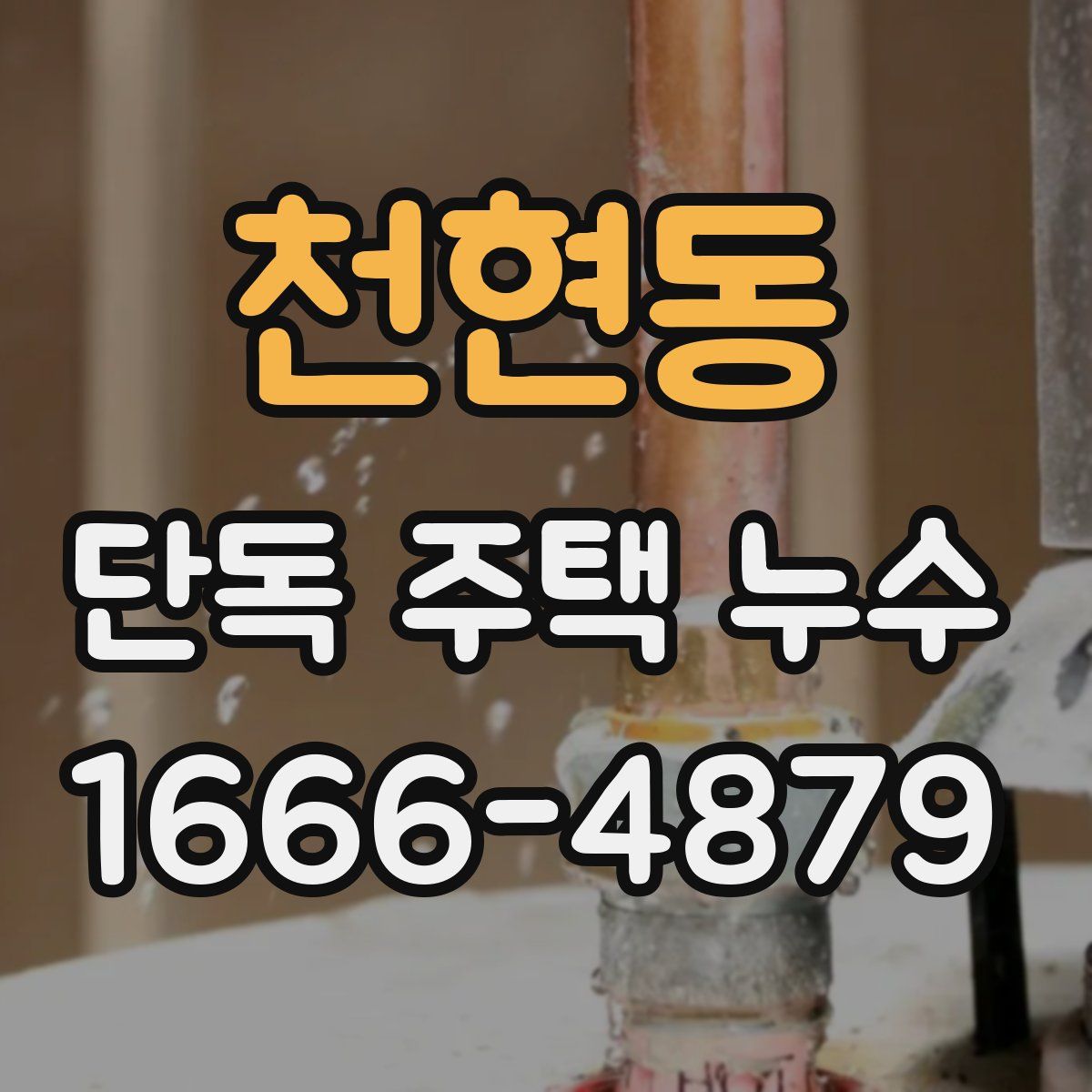 천현동 단독 주택 누수