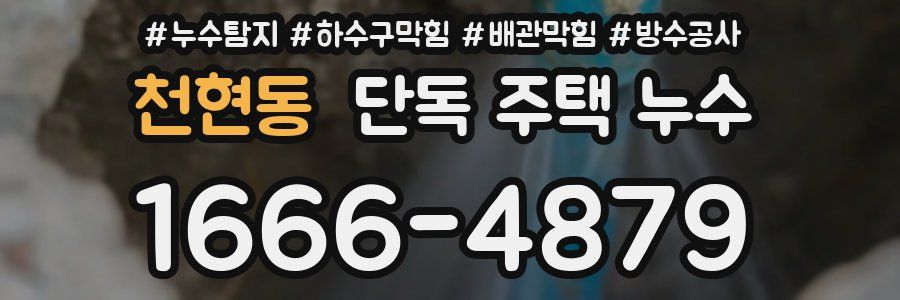 천현동 단독 주택 누수