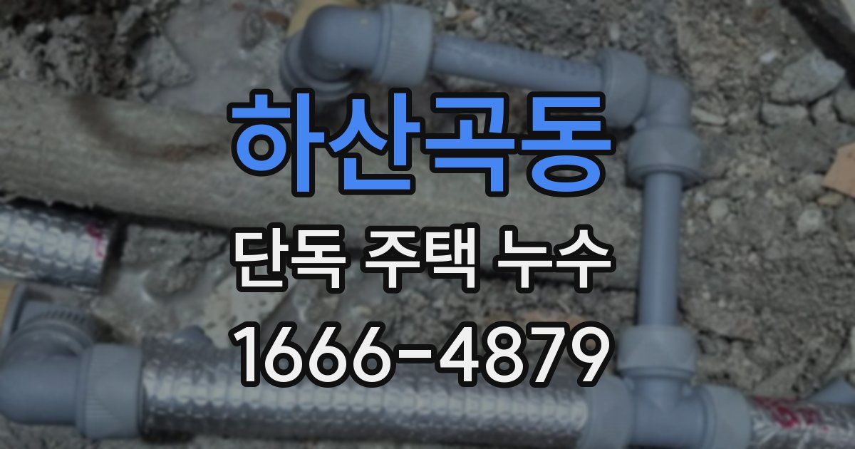 하산곡동 단독 주택 누수