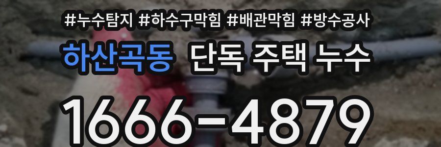 하산곡동 단독 주택 누수