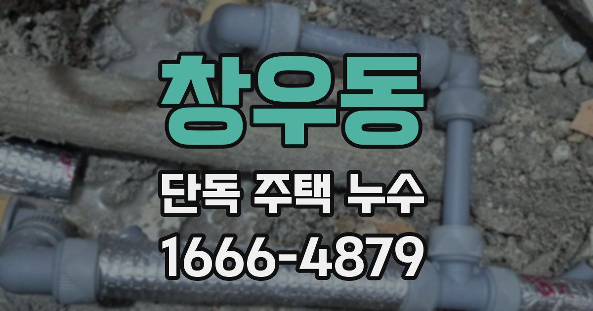 창우동 단독 주택 누수