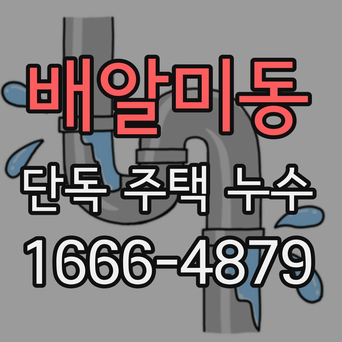 배알미동 단독 주택 누수