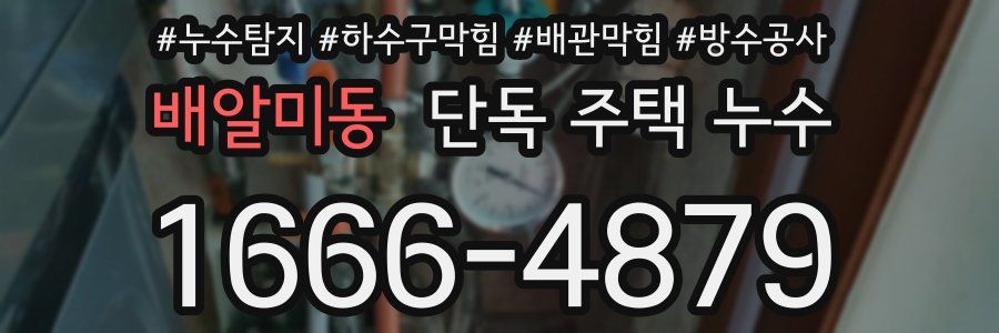 배알미동 단독 주택 누수