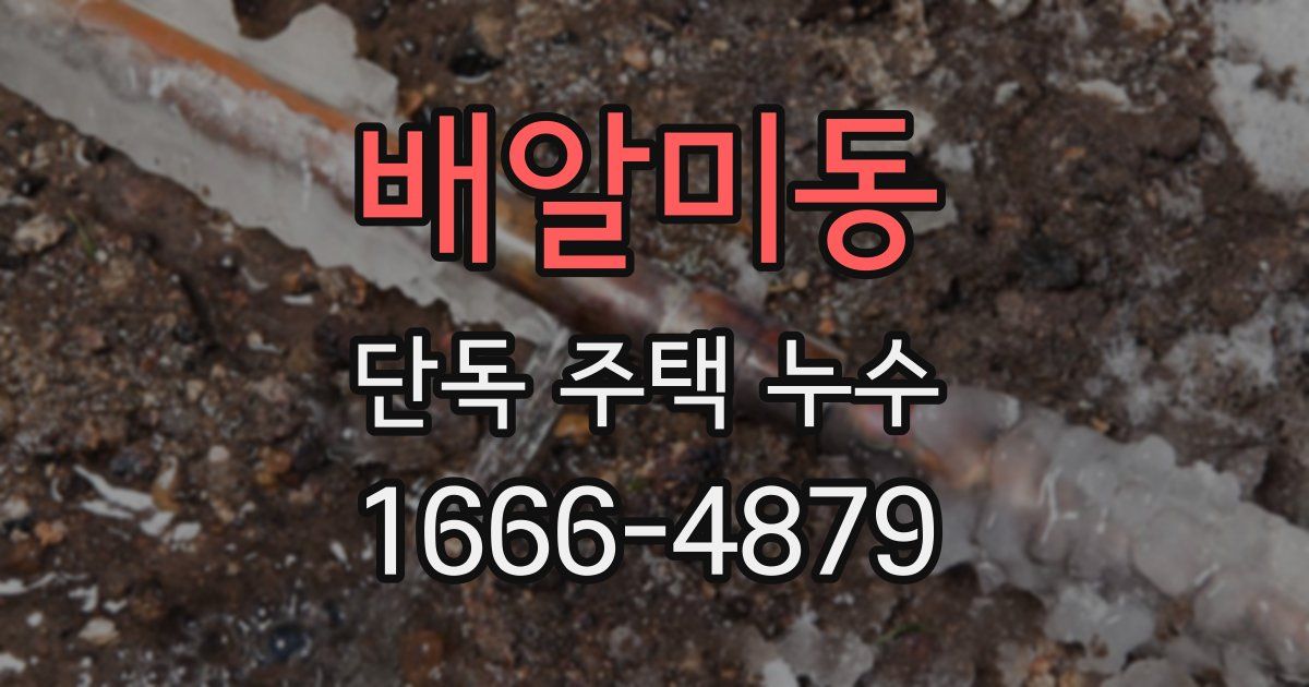 배알미동 단독 주택 누수