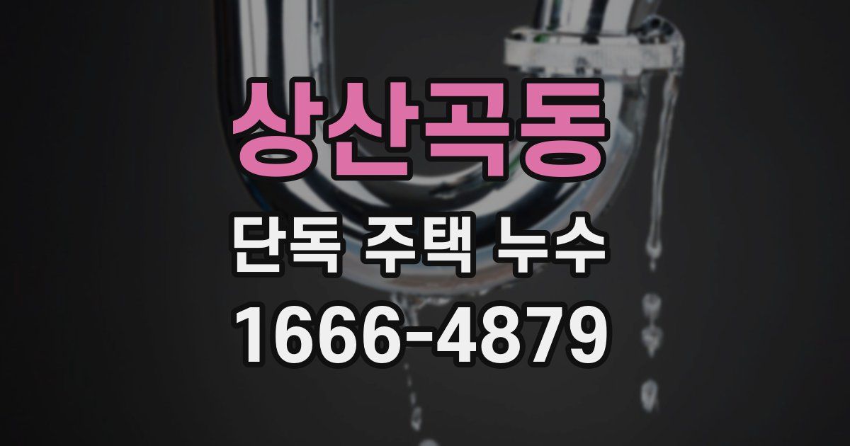상산곡동 단독 주택 누수