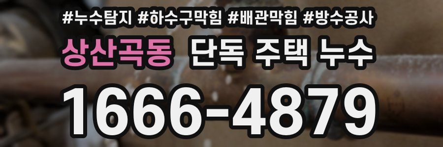 상산곡동 단독 주택 누수