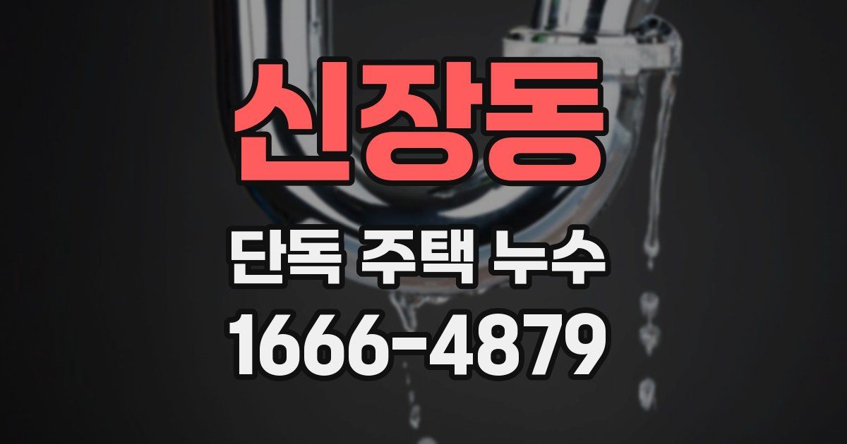 신장동 단독 주택 누수