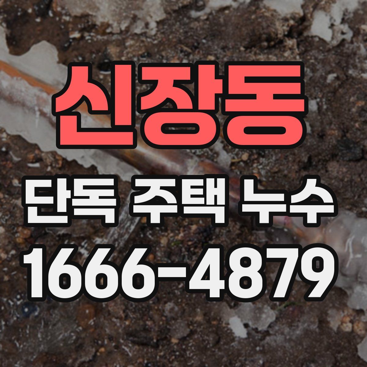 신장동 단독 주택 누수