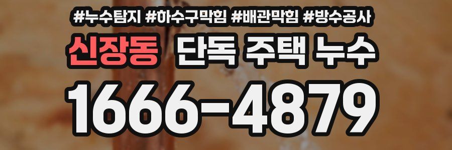 신장동 단독 주택 누수