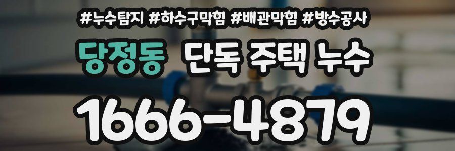 당정동 단독 주택 누수
