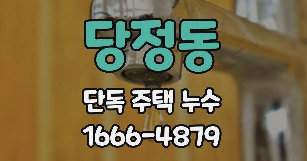 당정동 단독 주택 누수