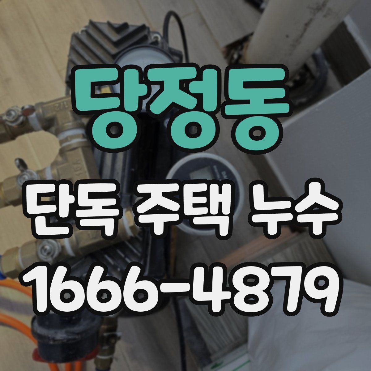 당정동 단독 주택 누수