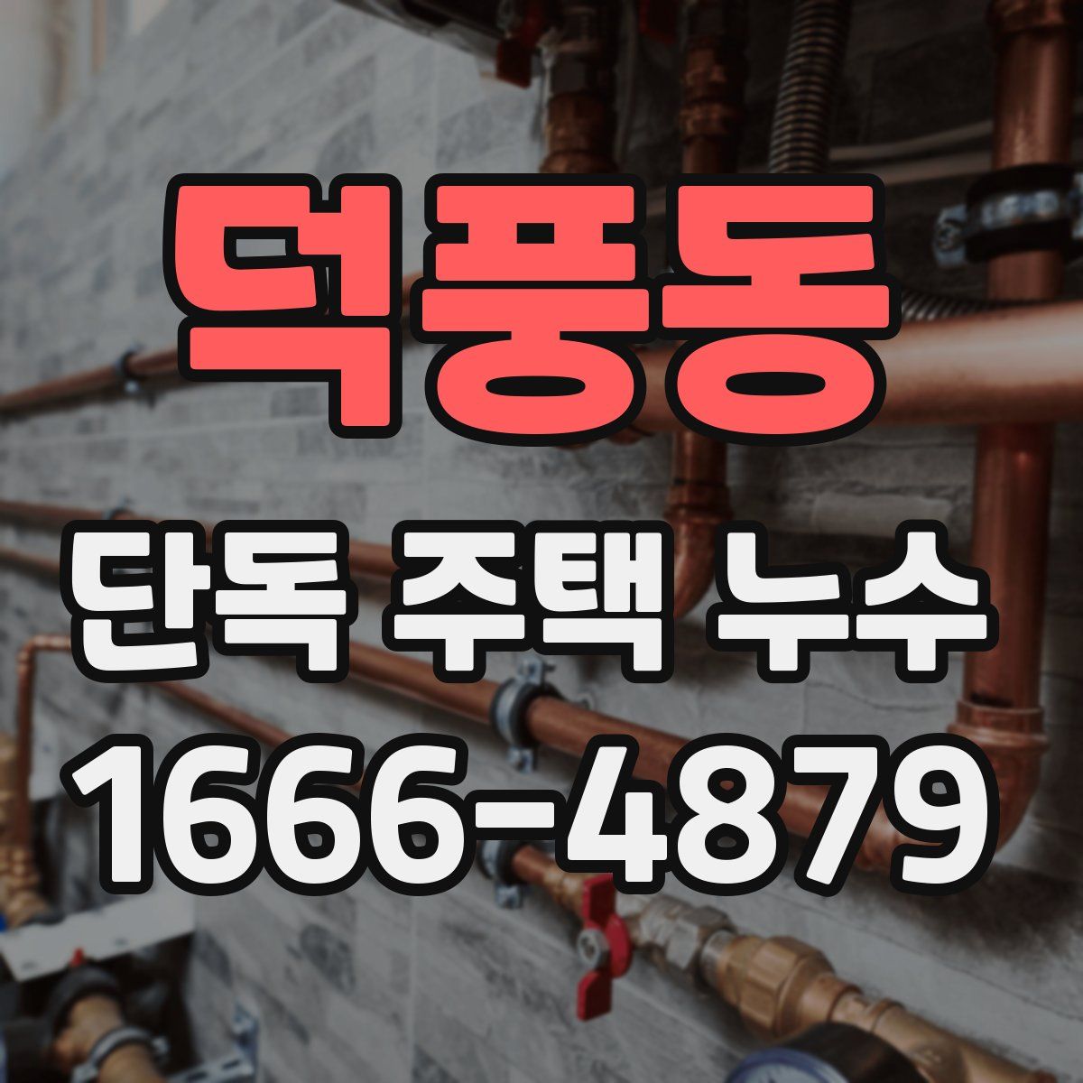 덕풍동 단독 주택 누수