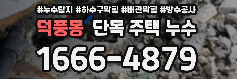 덕풍동 단독 주택 누수