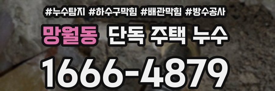 망월동 단독 주택 누수