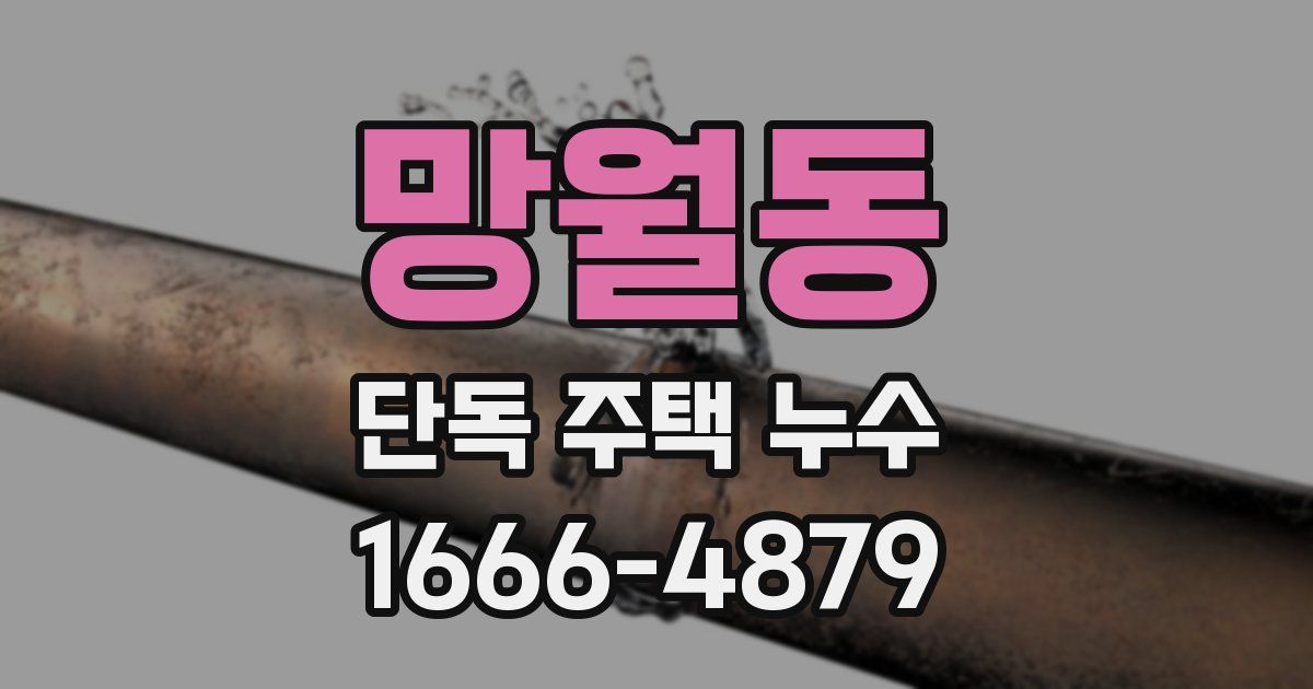망월동 단독 주택 누수