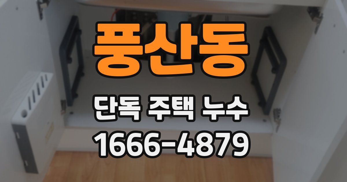 풍산동 단독 주택 누수
