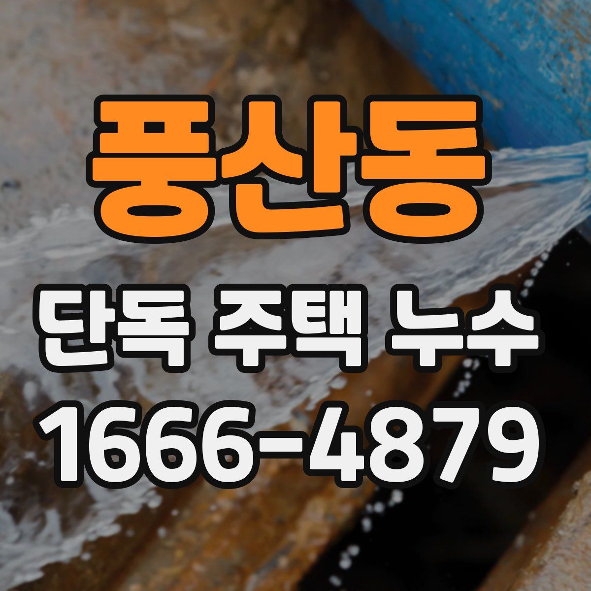 풍산동 단독 주택 누수