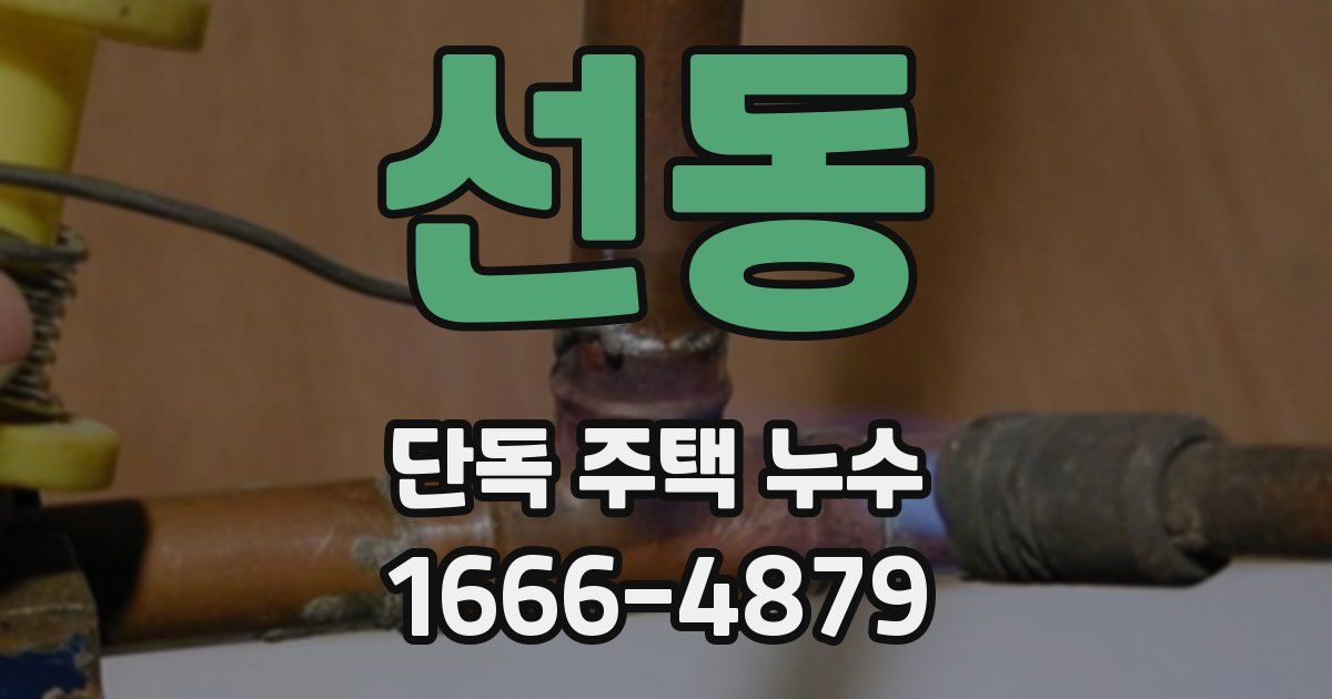 선동 단독 주택 누수