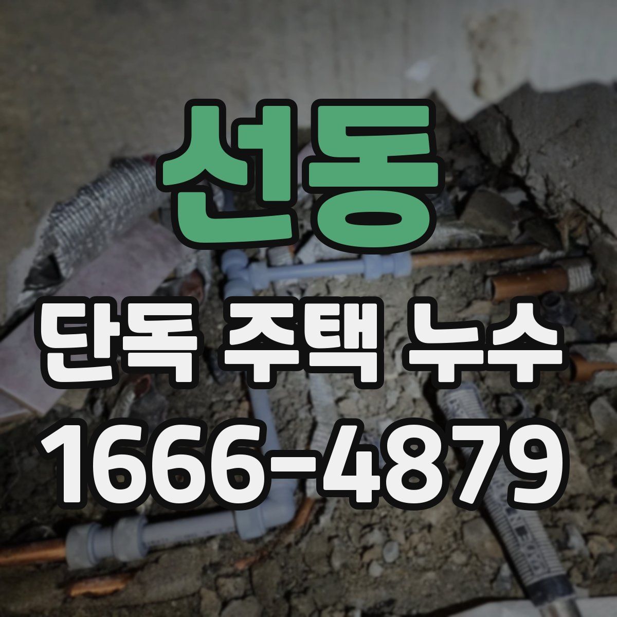 선동 단독 주택 누수