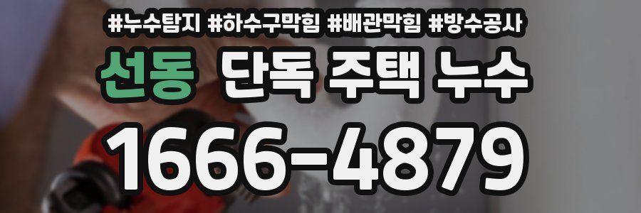 선동 단독 주택 누수