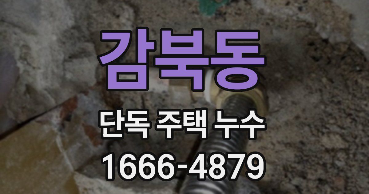 감북동 단독 주택 누수