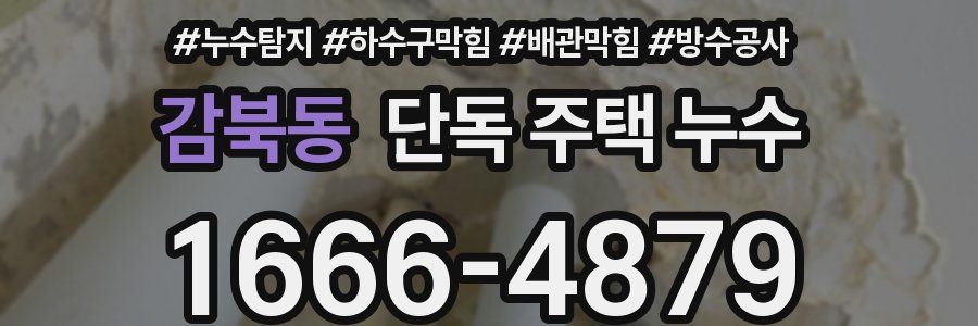 감북동 단독 주택 누수
