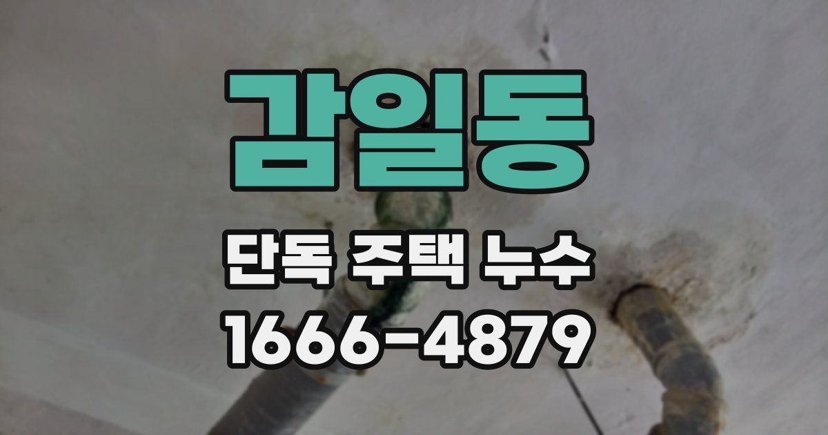 감일동 단독 주택 누수