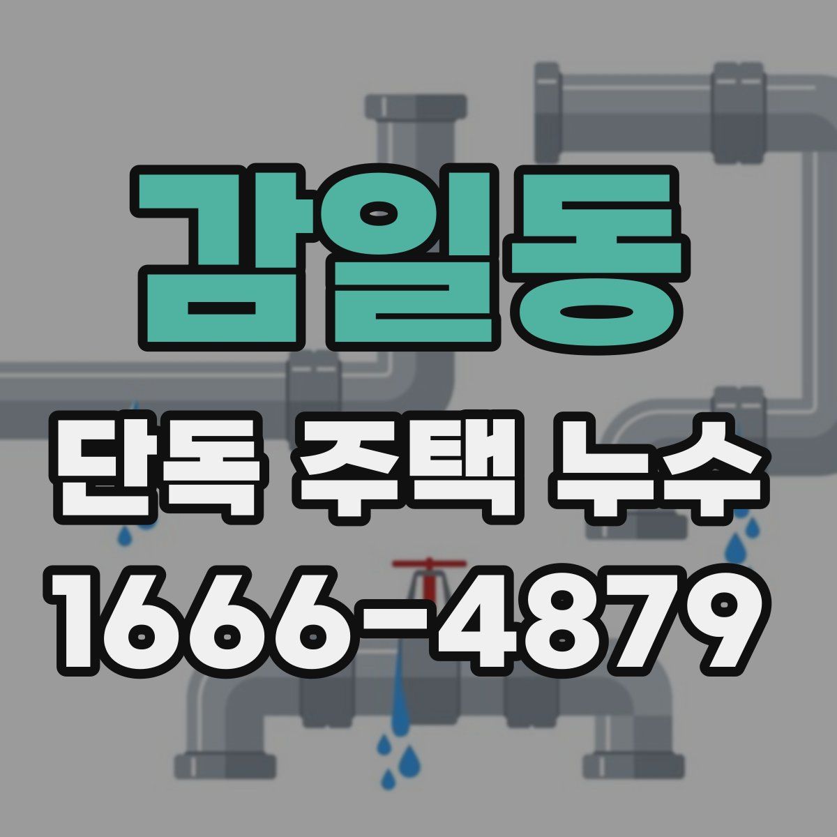 감일동 단독 주택 누수