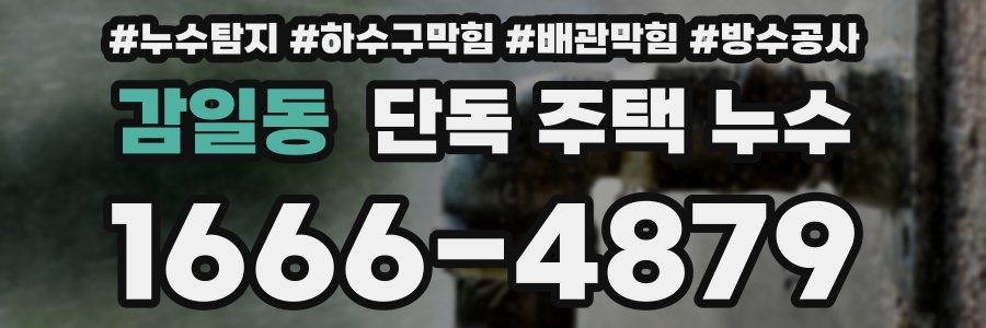 감일동 단독 주택 누수