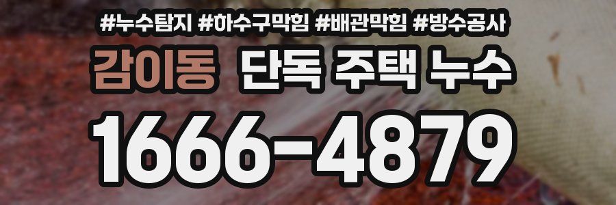 감이동 단독 주택 누수