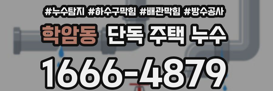 학암동 단독 주택 누수
