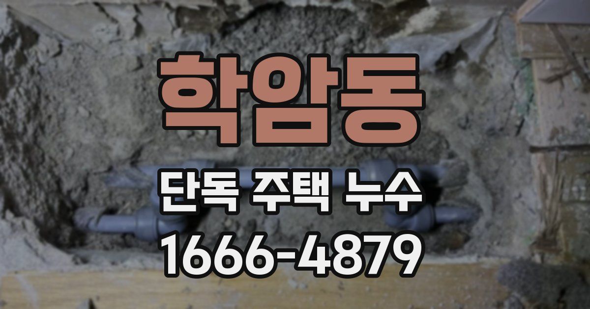 학암동 단독 주택 누수