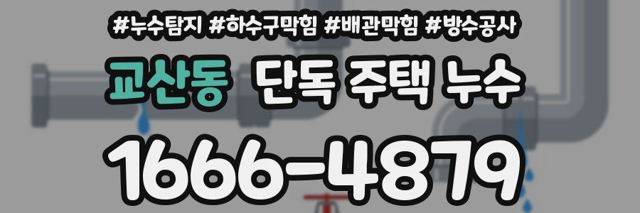교산동 단독 주택 누수