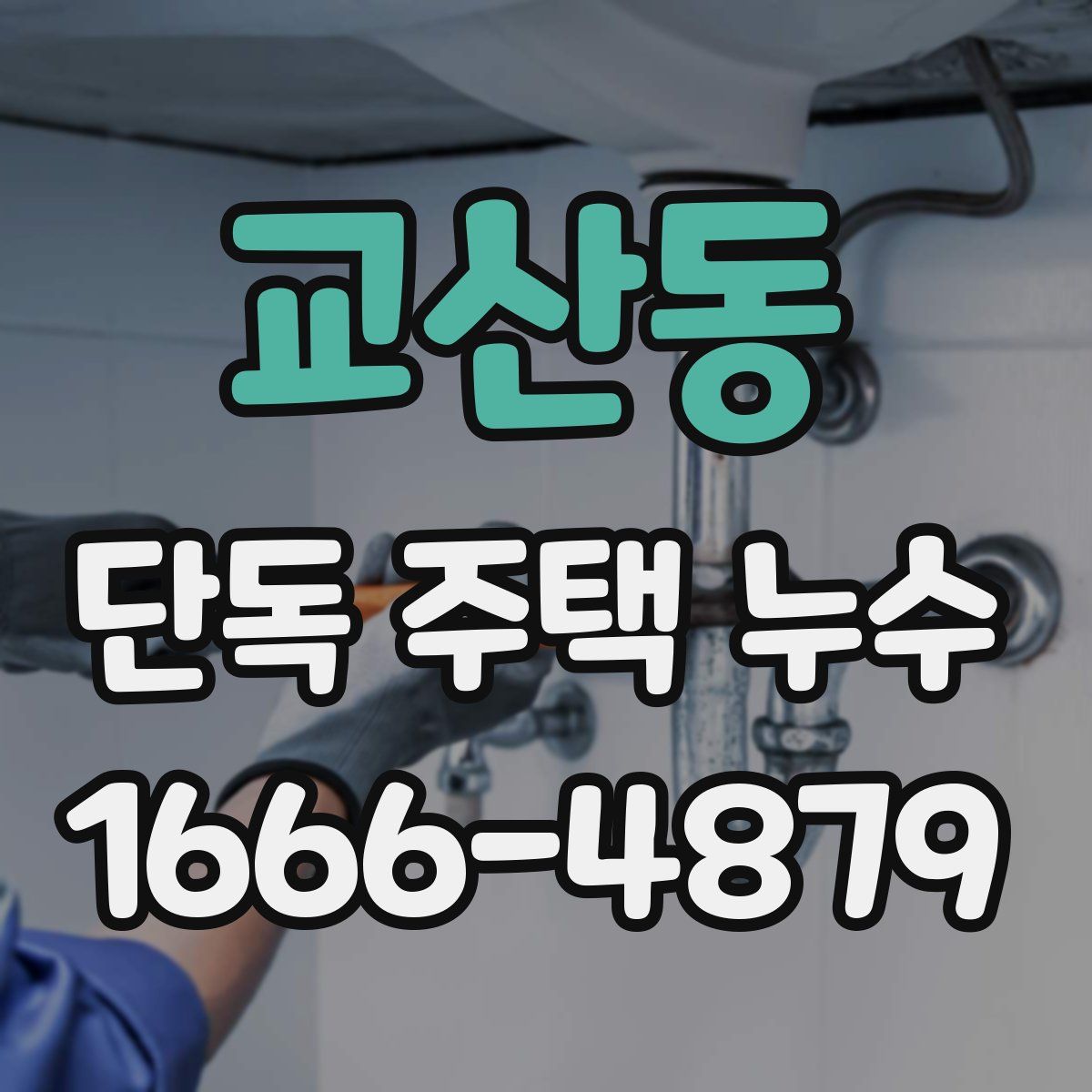 교산동 단독 주택 누수