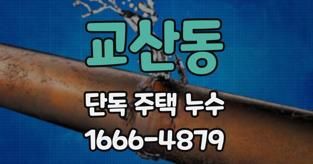 교산동 단독 주택 누수
