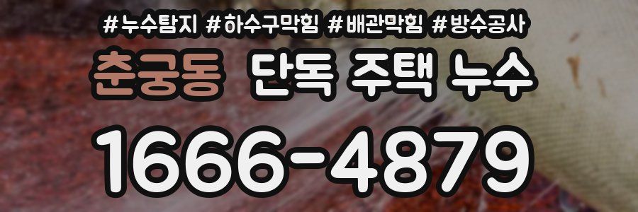 춘궁동 단독 주택 누수