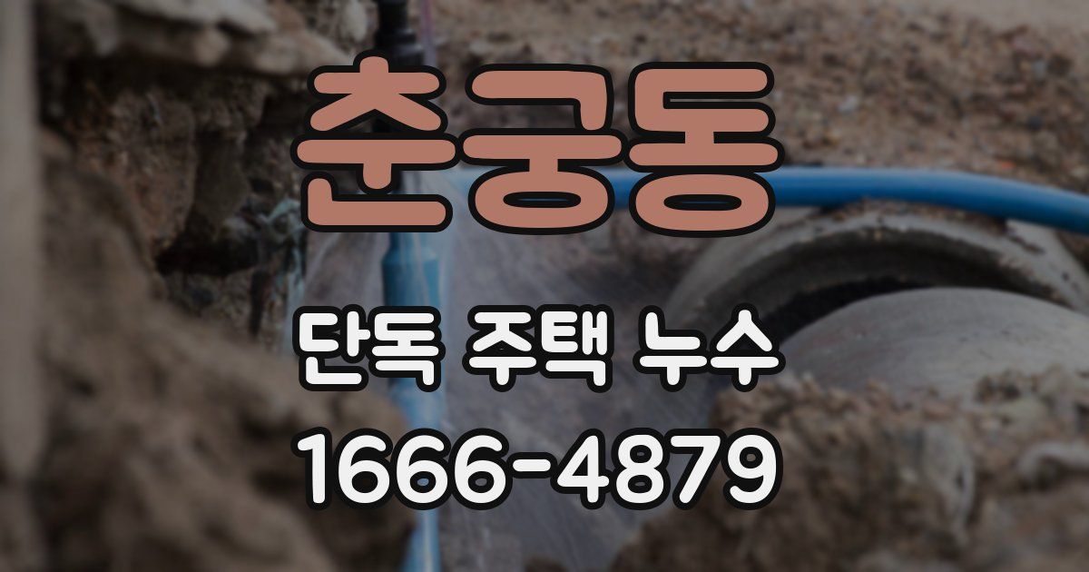 춘궁동 단독 주택 누수