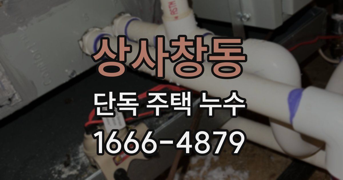 상사창동 단독 주택 누수