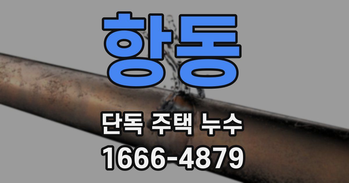 항동 단독 주택 누수