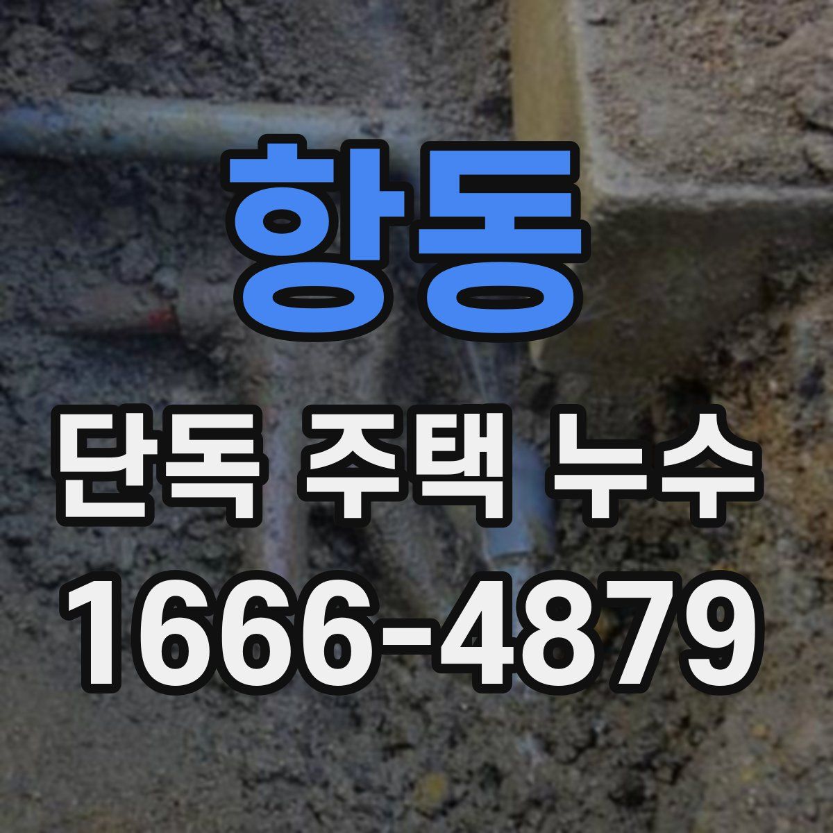 항동 단독 주택 누수