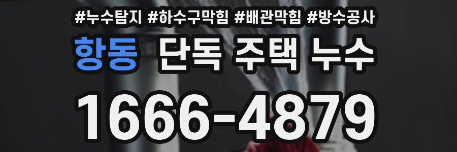 항동 단독 주택 누수