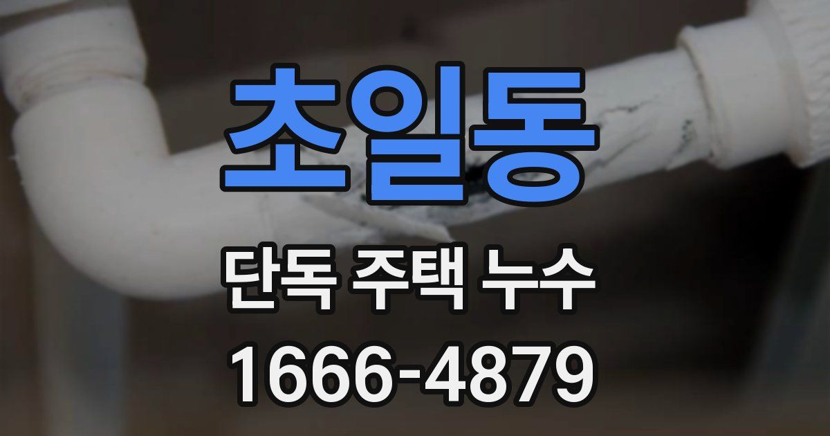 초일동 단독 주택 누수