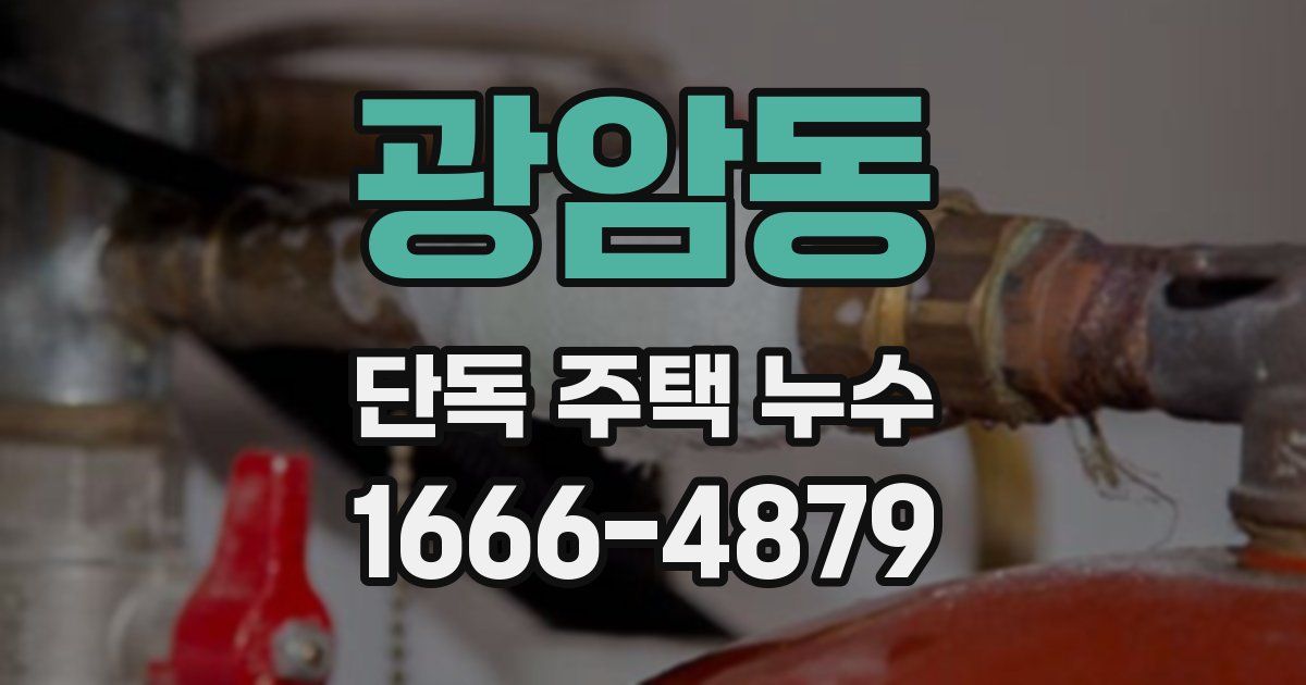 광암동 단독 주택 누수