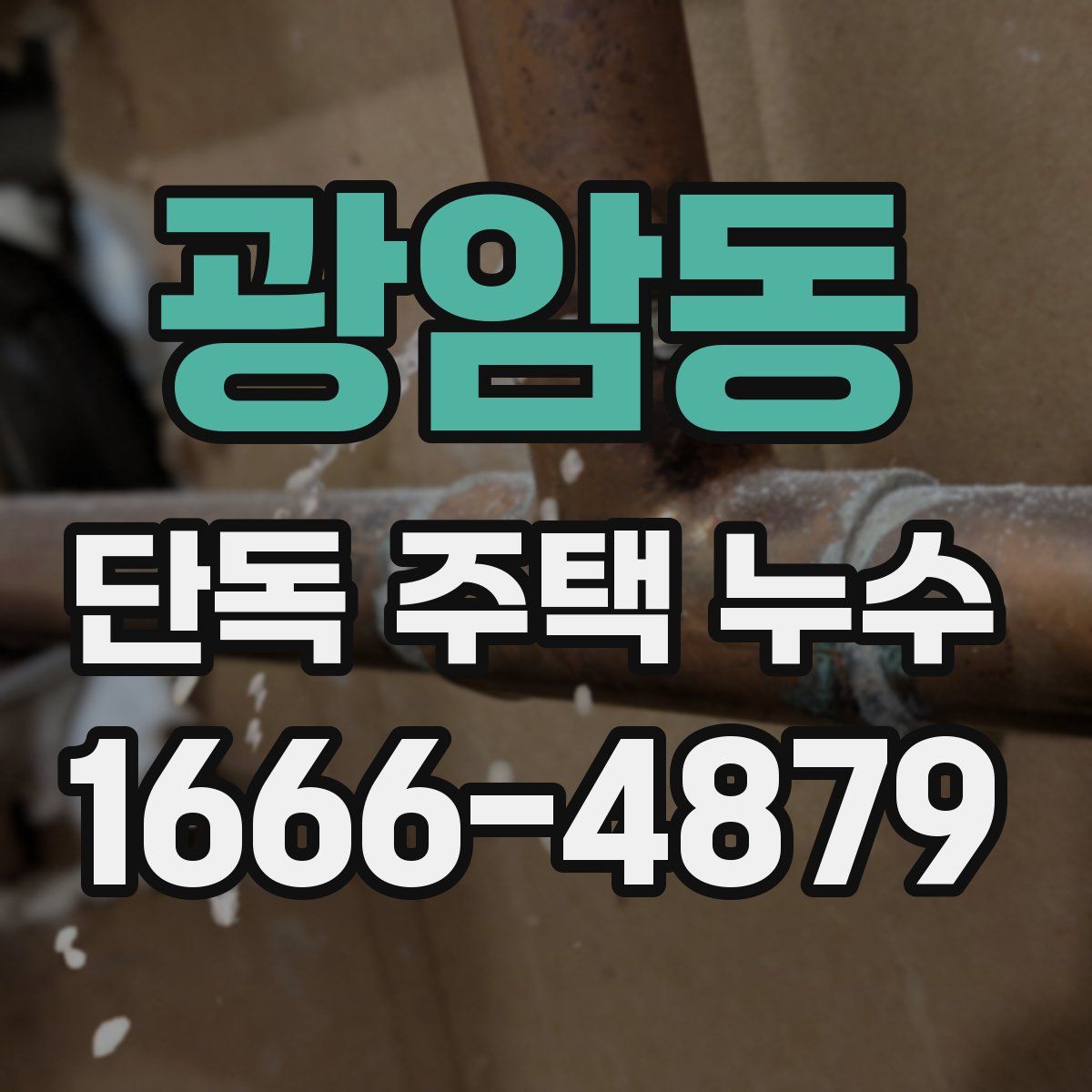 광암동 단독 주택 누수